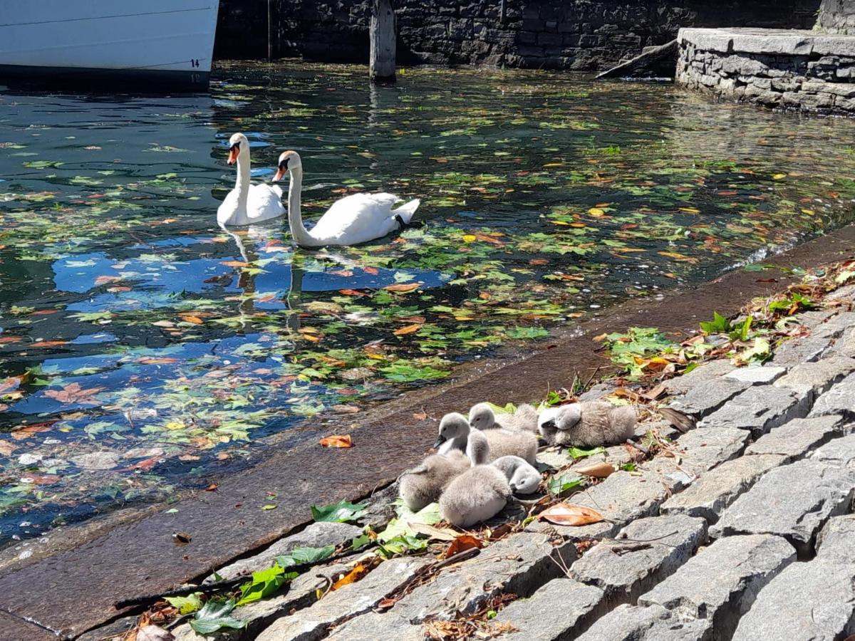 Piazza Grande House Daire Locarno Dış mekan fotoğraf